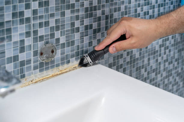 Best Fast Mold Removal  in Canby, OR