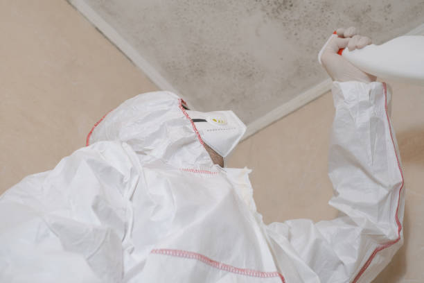 Best Emergency Mold Removal  in Canby, OR
