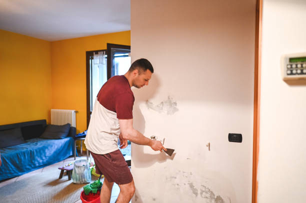 Best Affordable Mold Removal  in Canby, OR